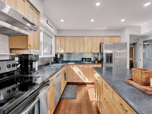 2581 Big Nickel Place, Kamloops, BC - Indoor Photo Showing Kitchen With Double Sink