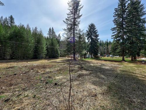 106E N. Thompson Highway E, Clearwater, BC - Outdoor With View