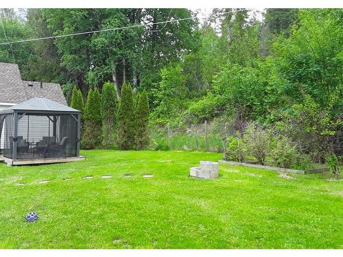 106E N. Thompson Highway E, Clearwater, BC - Outdoor With Backyard