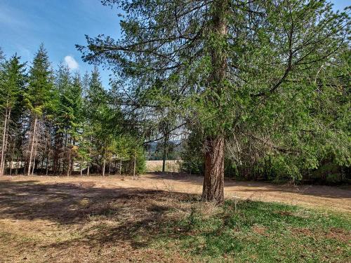 106E N. Thompson Highway E, Clearwater, BC - Outdoor With View