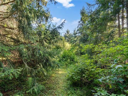 1735 Nahmint Rd, Qualicum Beach, BC 