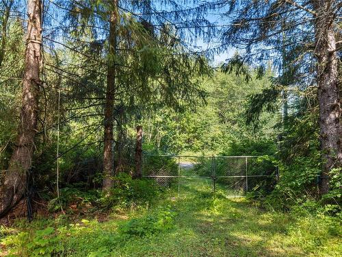 1735 Nahmint Rd, Qualicum Beach, BC 