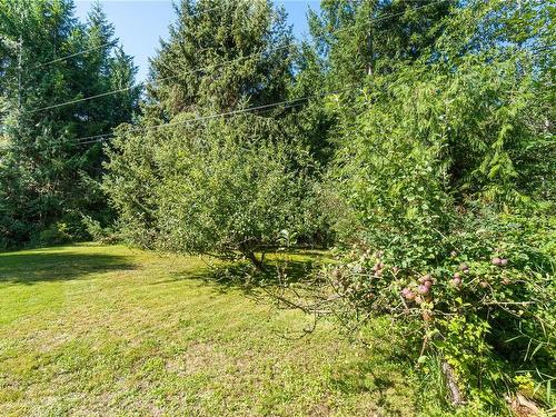 1735 Nahmint Rd, Qualicum Beach, BC 