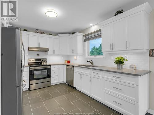 820 Green Valley Drive, Tecumseh, ON - Indoor Photo Showing Kitchen With Double Sink