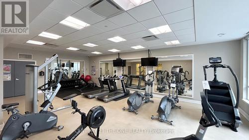 202 - 372 Highway 7 Road E, Richmond Hill, ON - Indoor Photo Showing Gym Room