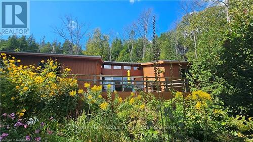 100 Whippoorwill Road, Northern Bruce Peninsula, ON - Outdoor