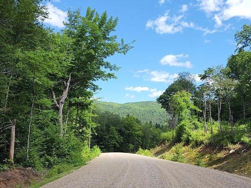 Autre - Rue Simon-Lussier, Saint-Côme, QC 