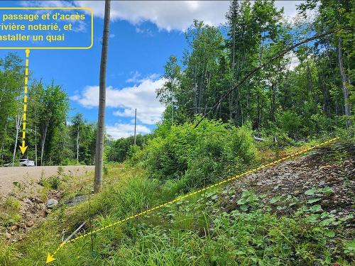 Land/Lot - Rue Simon-Lussier, Saint-Côme, QC 