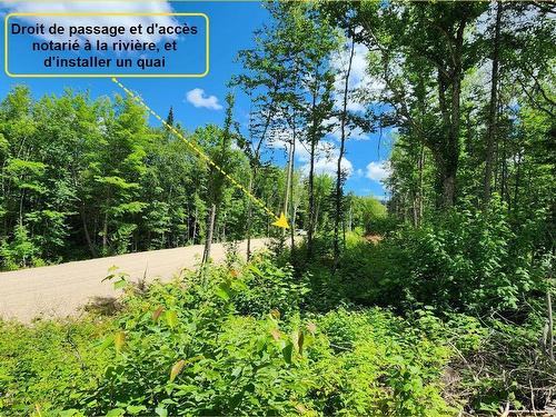 Land/Lot - Rue Simon-Lussier, Saint-Côme, QC 