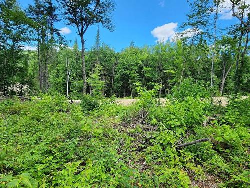 Land/Lot - Rue Simon-Lussier, Saint-Côme, QC 