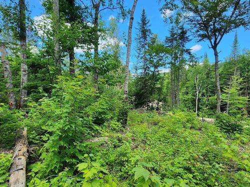 View - Rue Simon-Lussier, Saint-Côme, QC 