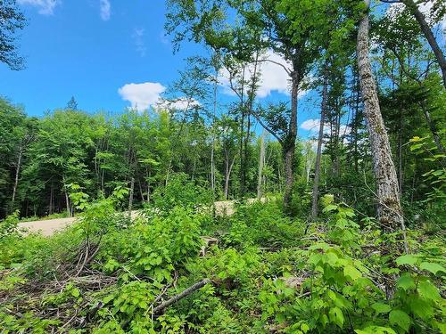 View - Rue Simon-Lussier, Saint-Côme, QC 