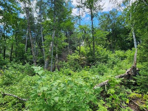 Terre/Terrain - Rue Simon-Lussier, Saint-Côme, QC 