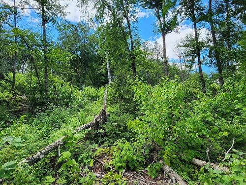 Land/Lot - Rue Simon-Lussier, Saint-Côme, QC 