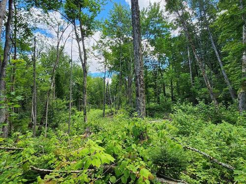 Terre/Terrain - Rue Simon-Lussier, Saint-Côme, QC 