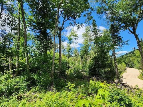 View - Rue Simon-Lussier, Saint-Côme, QC 