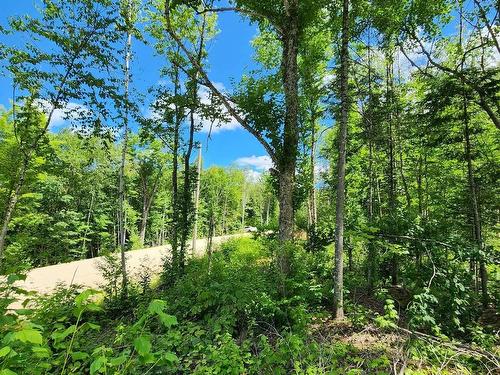 View - Rue Simon-Lussier, Saint-Côme, QC 