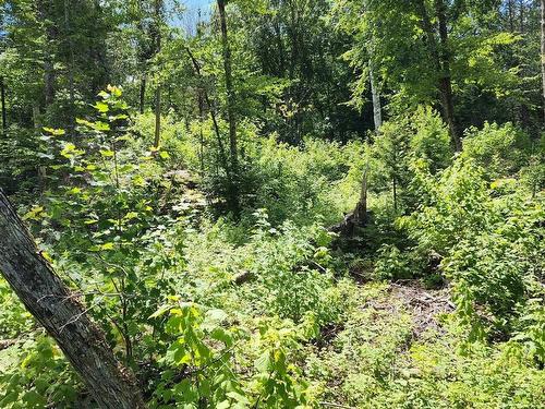 Terre/Terrain - Rue Simon-Lussier, Saint-Côme, QC 