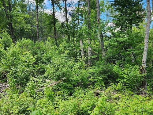 Terre/Terrain - Rue Simon-Lussier, Saint-Côme, QC 