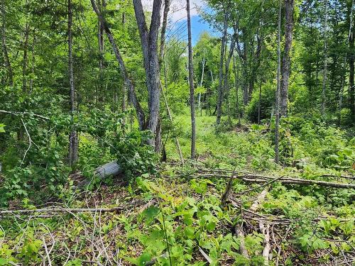 Terre/Terrain - Rue Simon-Lussier, Saint-Côme, QC 