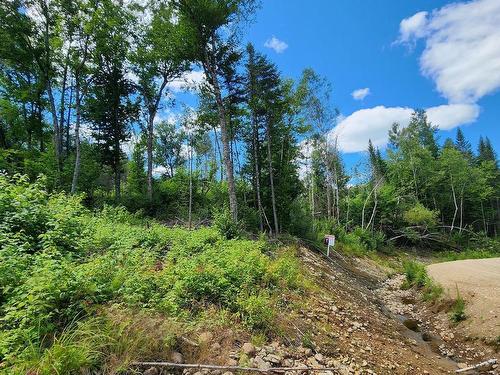 Terre/Terrain - Rue Simon-Lussier, Saint-Côme, QC 