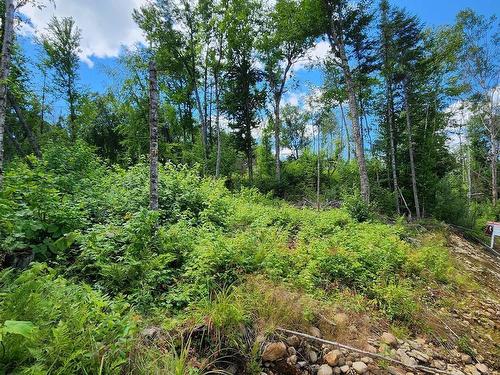 Terre/Terrain - Rue Simon-Lussier, Saint-Côme, QC 