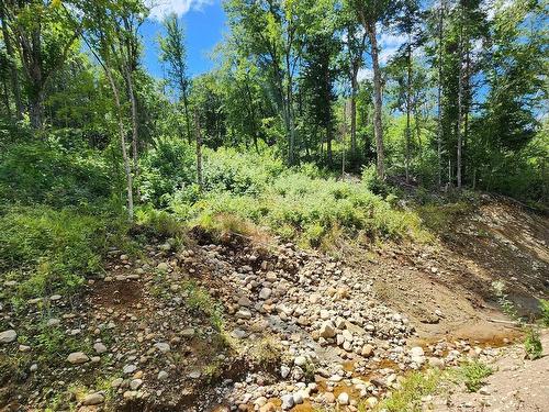 Terre/Terrain - Rue Simon-Lussier, Saint-Côme, QC 