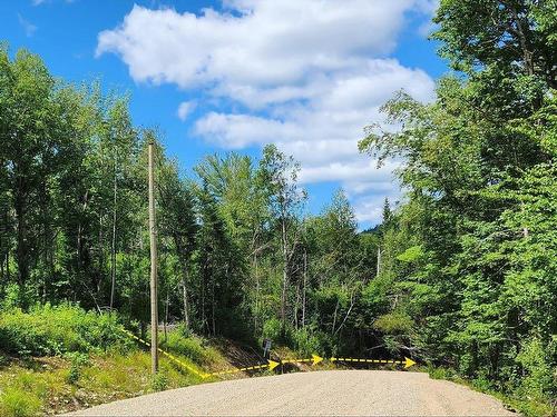 Terre/Terrain - Rue Simon-Lussier, Saint-Côme, QC 