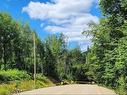 Terre/Terrain - Rue Simon-Lussier, Saint-Côme, QC 