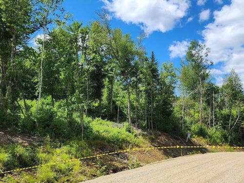 Terre/Terrain - Rue Simon-Lussier, Saint-Côme, QC 