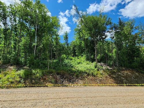 Terre/Terrain - Rue Simon-Lussier, Saint-Côme, QC 