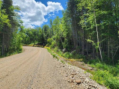 Terre/Terrain - Rue Simon-Lussier, Saint-Côme, QC 