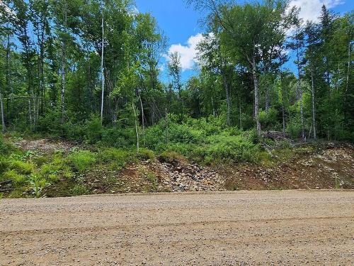 Terre/Terrain - Rue Simon-Lussier, Saint-Côme, QC 