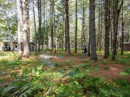 Wooded area - 4273 Route Des Tulipes, La Conception, QC - Outdoor