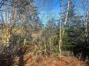 Lot C. Boudreau Road, Mavillette, NS 