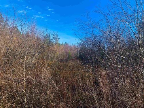 Lot C. Boudreau Road, Mavillette, NS 