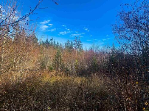 Lot C. Boudreau Road, Mavillette, NS 