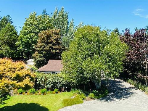 3905A Cadboro Bay Rd, Saanich, BC 