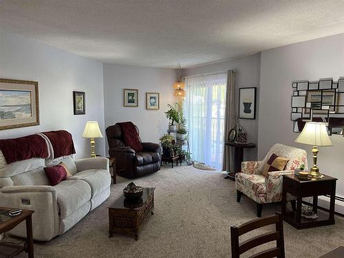 102 165 Court Street N, Thunder Bay, ON - Indoor Photo Showing Living Room