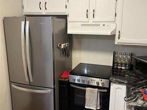 102 165 Court Street N, Thunder Bay, ON - Indoor Photo Showing Kitchen