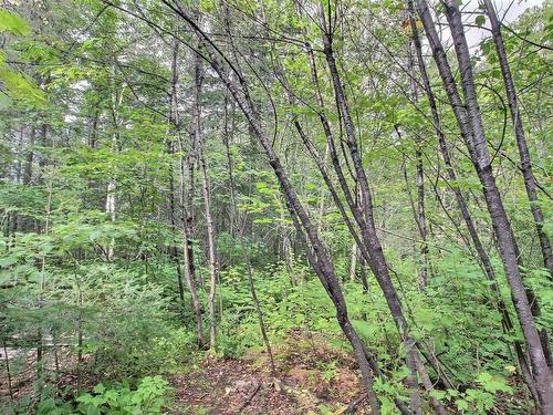 Terre/Terrain - 437 Ch. Des Sources, Val-D'Or, QC - Outdoor