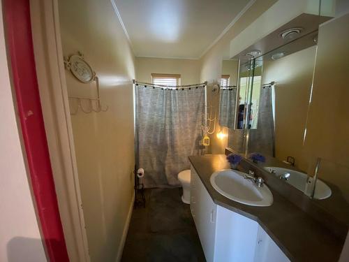 Salle de bains - 35 Rue Tremblay, Clermont, QC - Indoor Photo Showing Bathroom