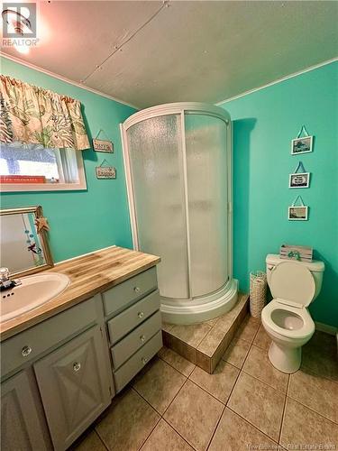 1002 Ch Martin, Sainte-Anne-De-Madawaska, NB - Indoor Photo Showing Bathroom