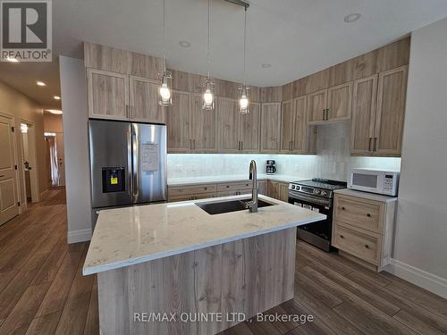 217 Beasley Crescent, Prince Edward County (Picton), ON - Indoor Photo Showing Kitchen With Upgraded Kitchen