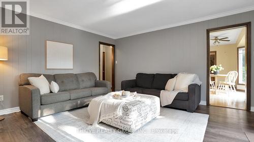 78 Blackthorne Crescent, London, ON - Indoor Photo Showing Living Room