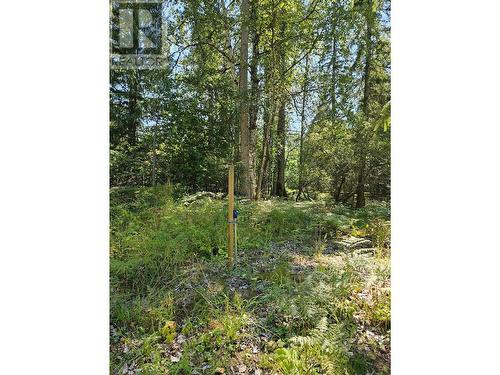 5851 6 Highway, Burton, BC - Outdoor With View