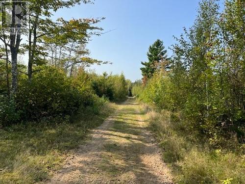 Camp Berry Road, Elgin, NB 