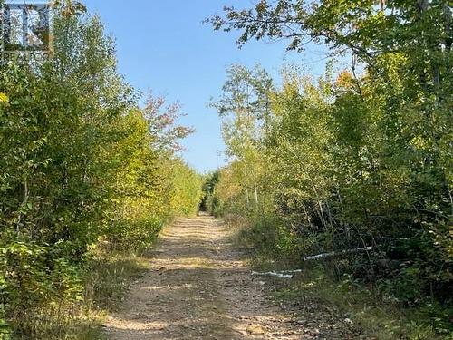 Camp Berry Road, Elgin, NB 