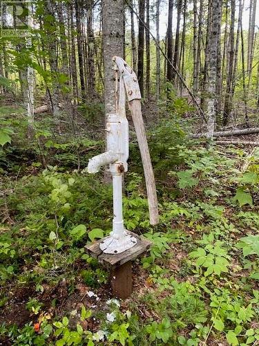 Camp Berry Road, Elgin, NB 