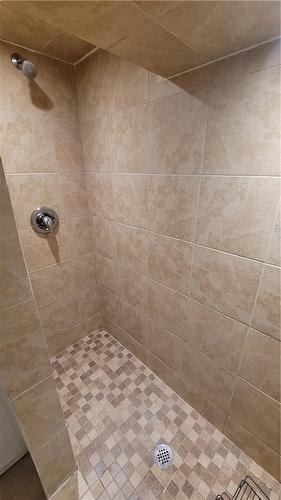 20 Queensdale Avenue W|Unit #Bsmt, Hamilton, ON - Indoor Photo Showing Bathroom